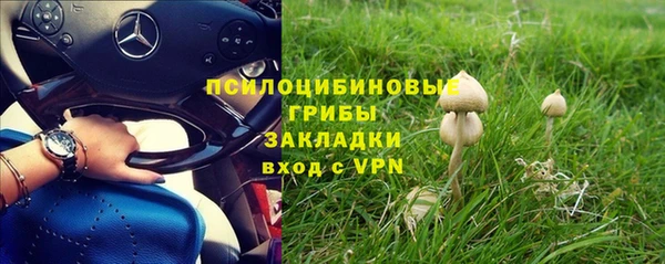прущая мука Елабуга
