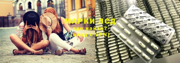 амф Щучье