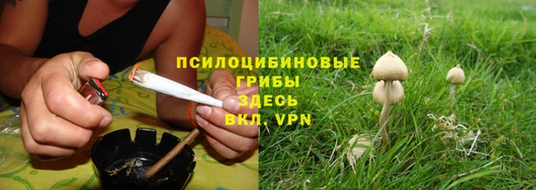 прущая мука Елабуга