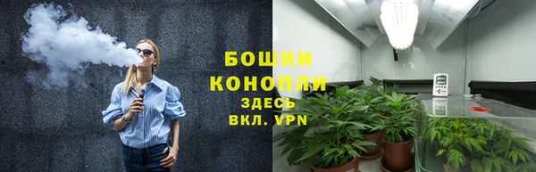 прущая мука Елабуга