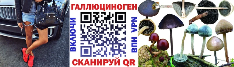 маркетплейс наркотические препараты  где купить наркоту  Зарайск  Псилоцибиновые грибы ЛСД 
